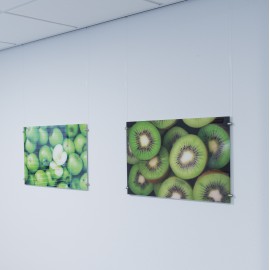Artiteq Display-It Schroefklem enkel 3-6mm - per 10 stuks