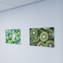 Artiteq Display-It Schroefklem enkel 3-6mm - per 10 stuks
